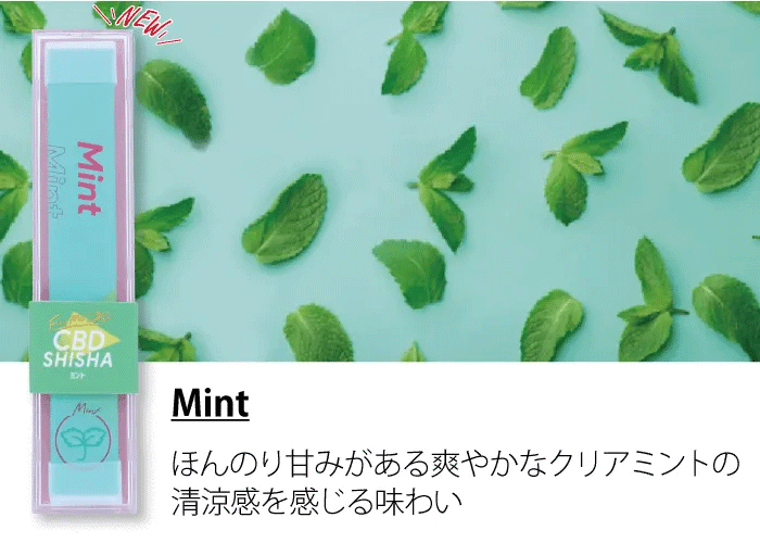 CBDシーシャ ミント