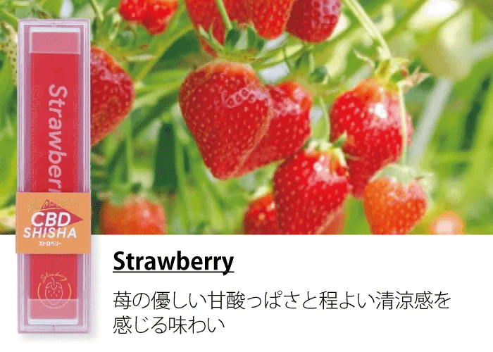 CBDシーシャ ストロベリー
